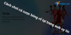 cach-choi-ca-cuoc-bong-ro-tf88