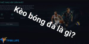 ty-le-keo-bong-da-tf88-tf88.green