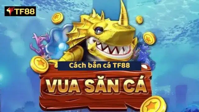 Trở thành vua bắn cá không hề khó chơi 5 kỹ năng tại Tf88