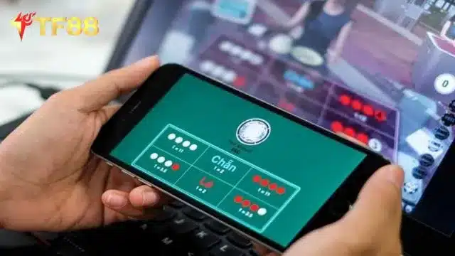 Một số lưu ý khi chơi xóc đĩa Online tại nhà cái TF88