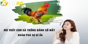 con gà trống đánh số mấy tk88
