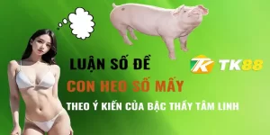 con heo số mấy tk88