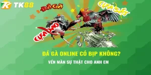đá gà online TK88