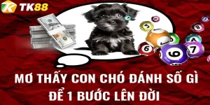 mơ thấy con chó đánh số gì tk88