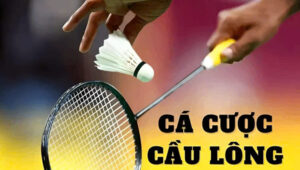 Bí Quyết Thắng Lớn: Hướng Dẫn Cá Cược Cầu Lông Tại TK88 Chỉ Trong Vài Bước