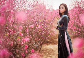 Điểm chụp ảnh đẹp nhất Hà Nội dịp cuối năm