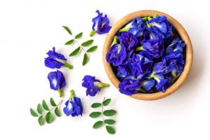 Lợi ích tuyệt vời của hoa đậu biếc có thể bạn chưa biết