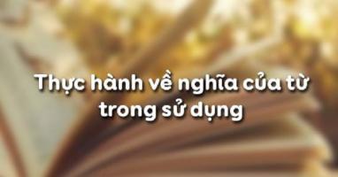 Bài soạn Thực hành về nghĩa của từ trong sử dụng (Ngữ Văn 11) hay nhất