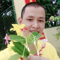 Bài thơ hay của nhà thơ Nguyễn Trọng Hoà
