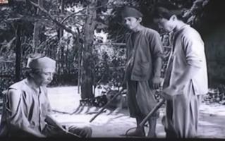 Bài tóm tắt văn bản 
