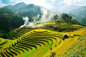 Bài văn phân tích Mùa xuân xanh của Nguyễn Bính (Ngữ văn 11) hay nhất