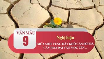 Bài văn nghị luận về câu nói 