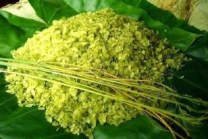 Bài văn, đoạn văn phân tích văn bản Cốm Vòng (Ngữ văn 7) hay nhất
