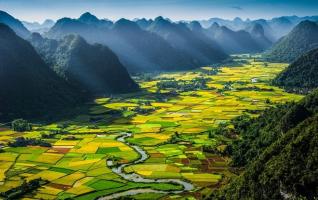 Bài văn phân tích bài thơ Hạt gạo làng ta (Ngữ văn 7) hay nhất