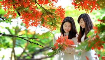 STT hay về ngày tổng kết năm học