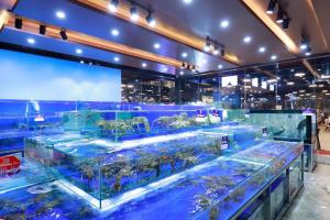 Đơn vị thi công bể hải sản uy tín tại Hà Nội
