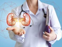 Bệnh lý về thận thường gặp nhất