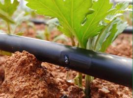 Công ty cung cấp hệ thống tưới nhỏ giọt chất lượng tại Việt Nam