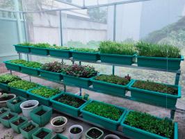 Đơn vị thi công vườn rau sạch tại nhà tốt nhất ở Tp.HCM