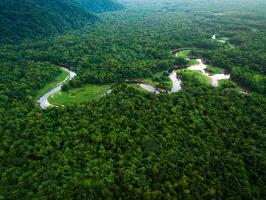 Lý do sông Amazon dài 6400 Km nhưng không có cây cầu nào bắc qua