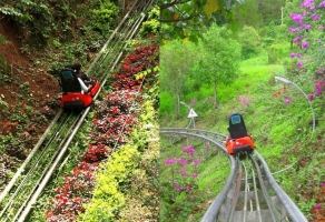 Hoạt động thú vị nhất khi đi du lịch Đà Lạt