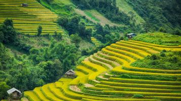 Bài thơ trong sách giáo khoa hay nhất