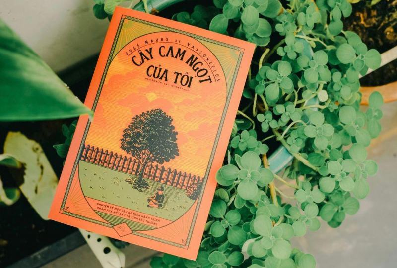 Cây Cam Ngọt Của Tôi