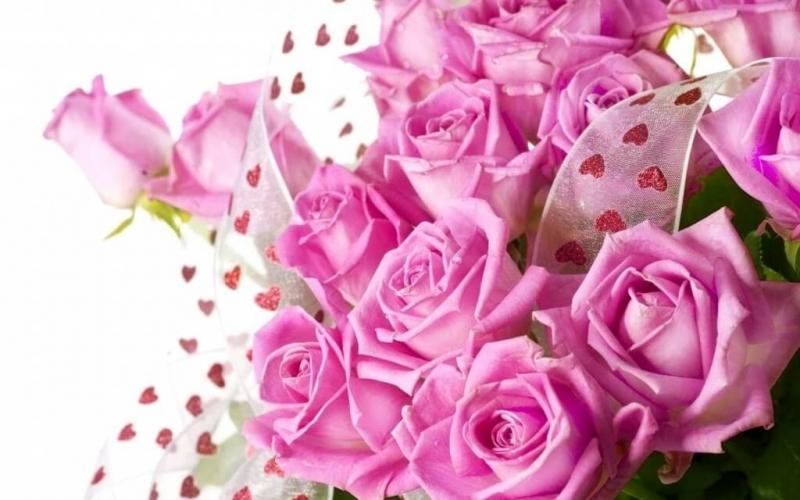 Hoa đẹp bởi phụ nữ đẹp