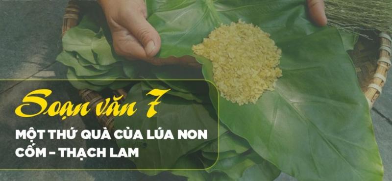 Ảnh minh họa (Nguồn internet)
