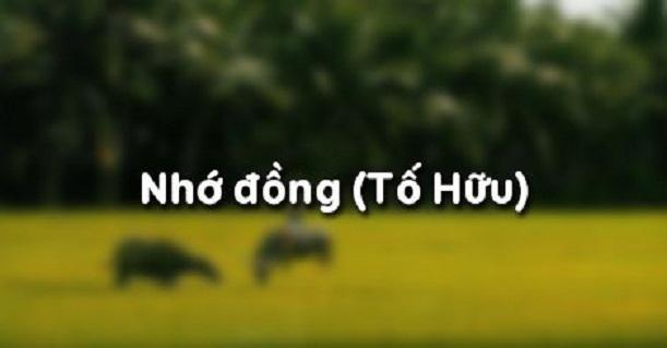 Ảnh minh họa (Nguồn internet)