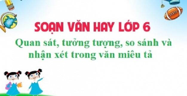 Ảnh minh họa (Nguồn internet)
