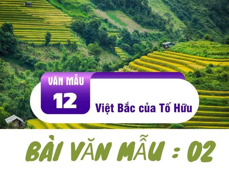 Bài soạn 