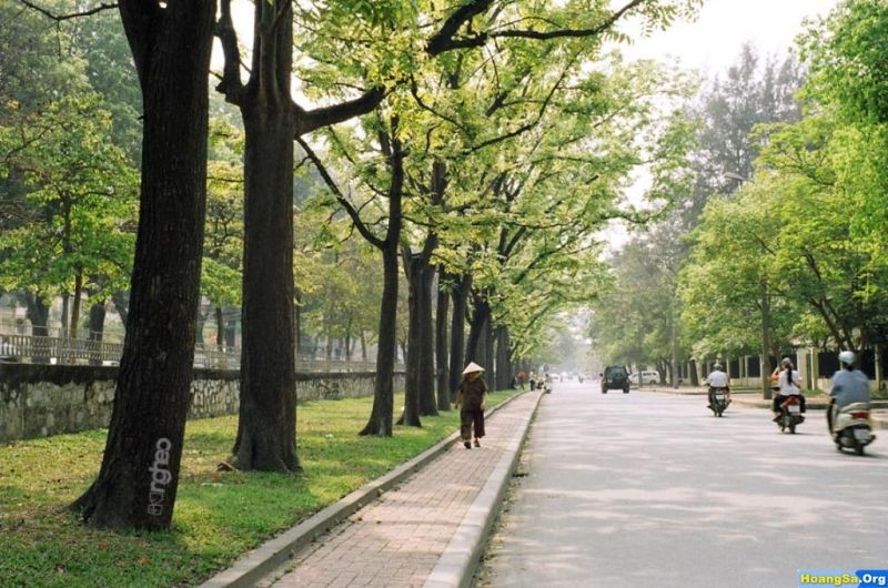 Ảnh minh họa (nguồn internet)