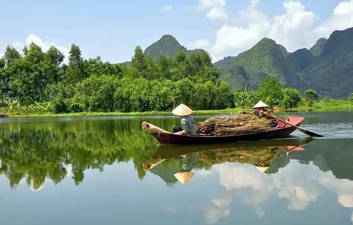 Ảnh minh hoạ (nguồn internet)