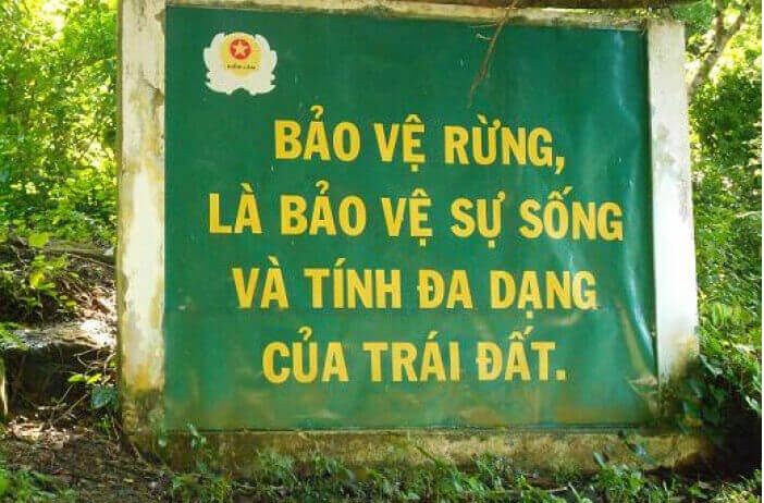 Ảnh minh họa (Nguồn internet)