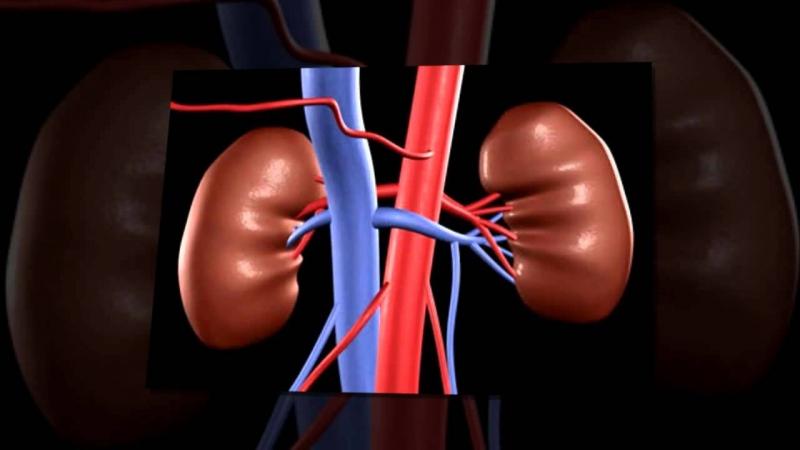 Bệnh thận hư là mối lo của nhiều chị em phụ nữ