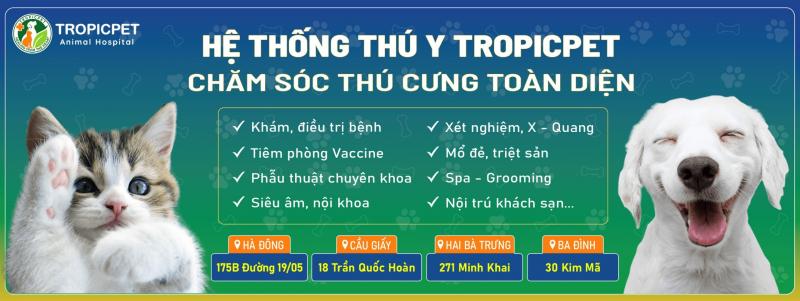 Bệnh Viện Thú Y Tropicpet Hà Đông
