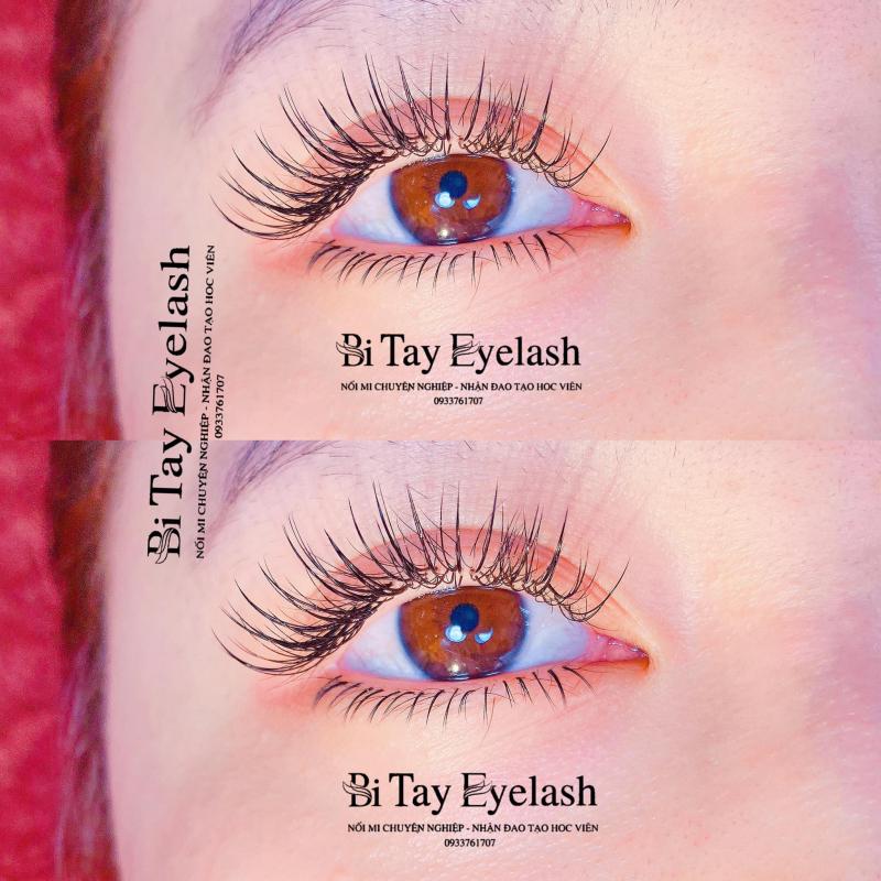 Bi Tay Eyelash
