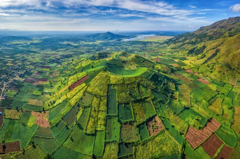 Vũ điệu Tây Nguyên
