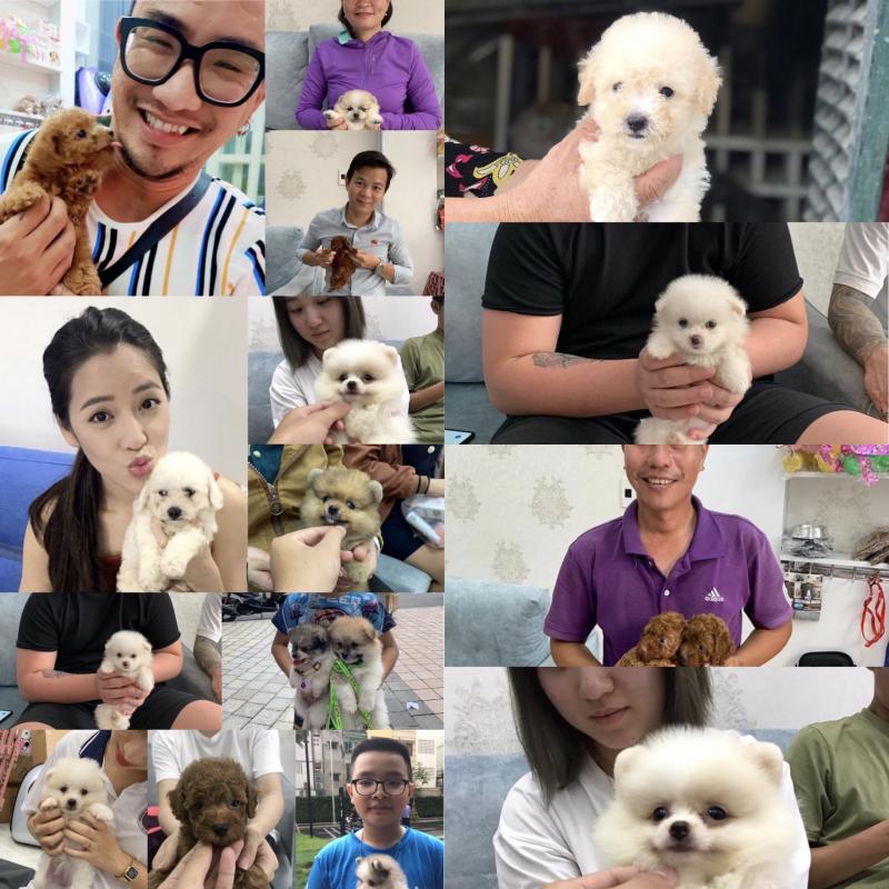 Bin Bon Dog Shop