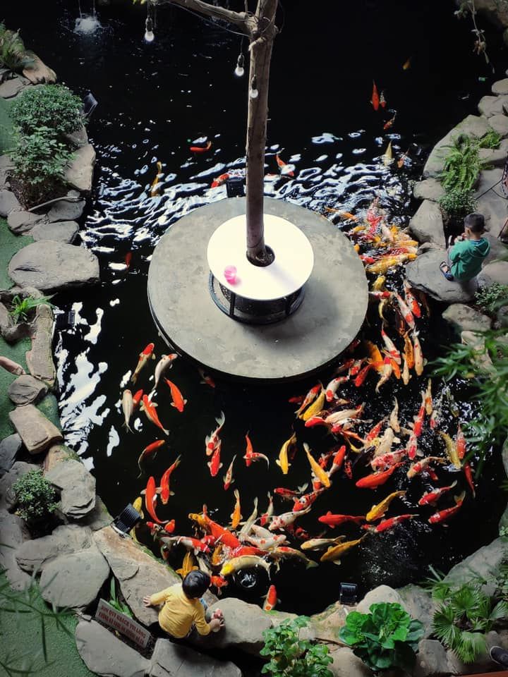 Cà phê Đồng Tâm