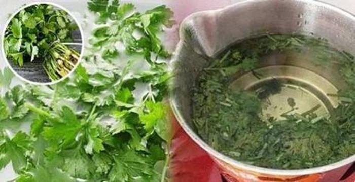 chữa đau mắt đỏ bằng rau mùi