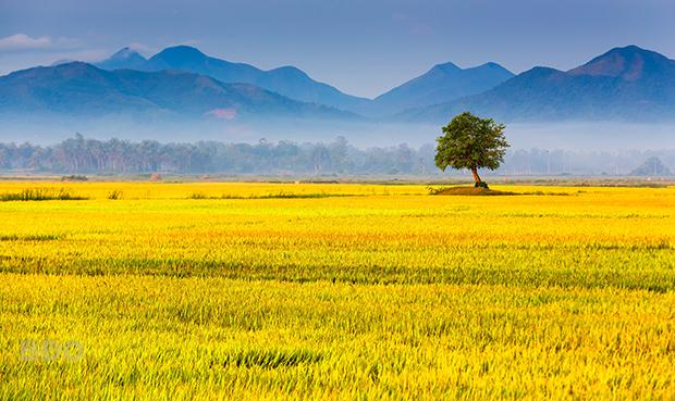 Phía sau chiến tranh