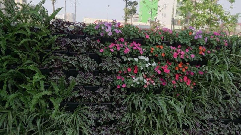 Công ty TNHH cây xanh cảnh quan Hoa Sen Việt