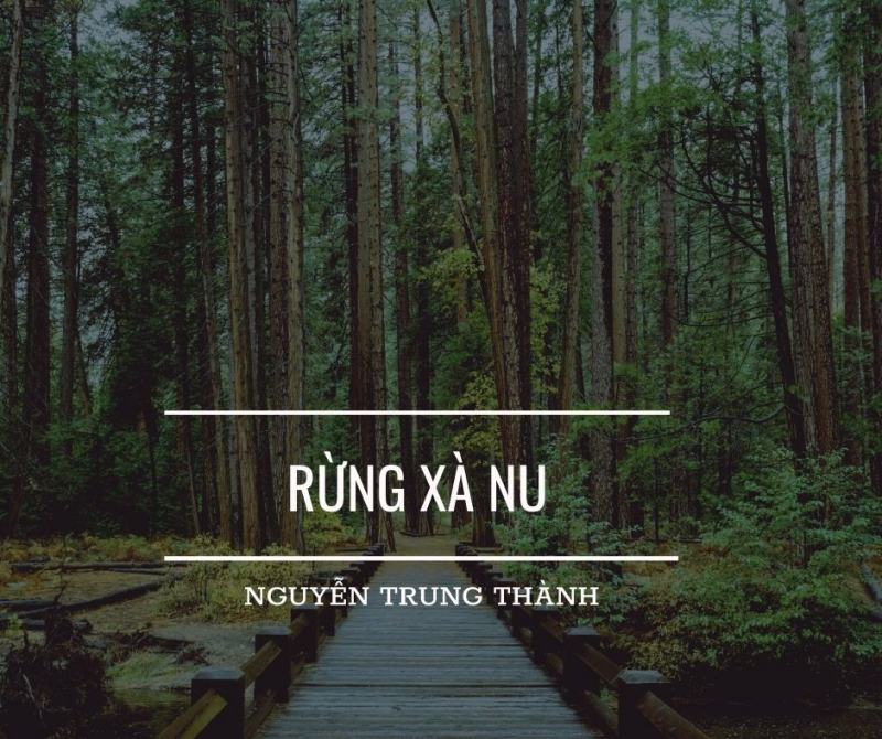 Chi tiết 