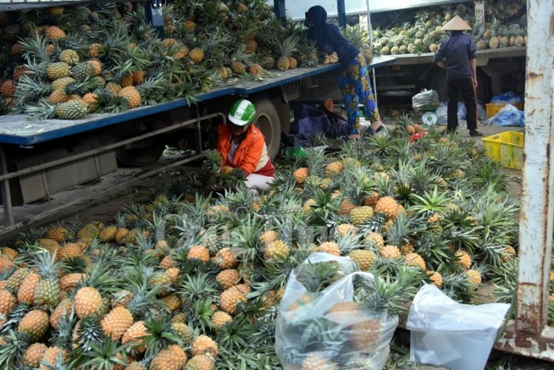 Chợ đầu mối phía Nam