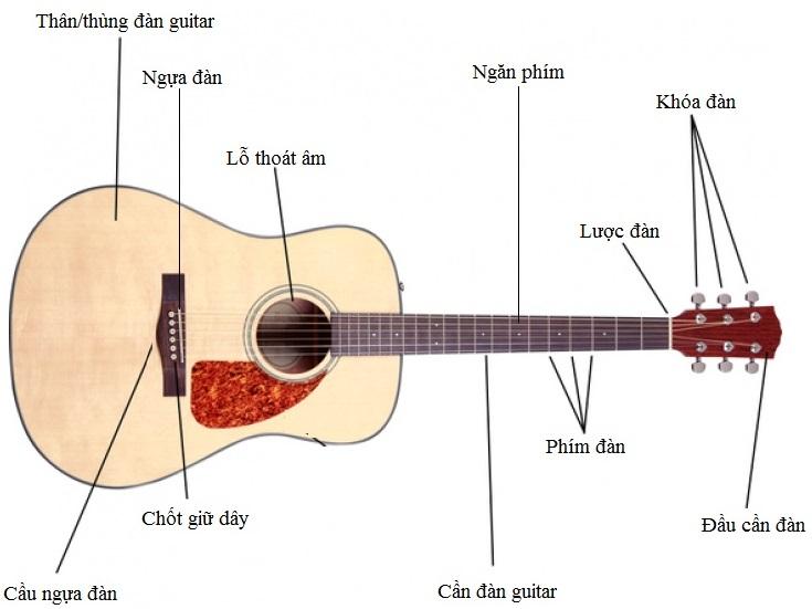 Chú ý khoảng cách từ dây đàn đến mặt phím
