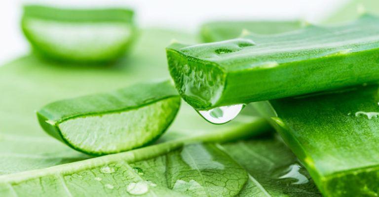 Cách trị mụn thịt bằng nha đam
