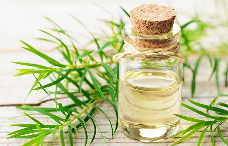 Cách trị mụn thịt bằng dầu tràm