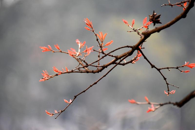Bây giờ đang cuối mùa đông
